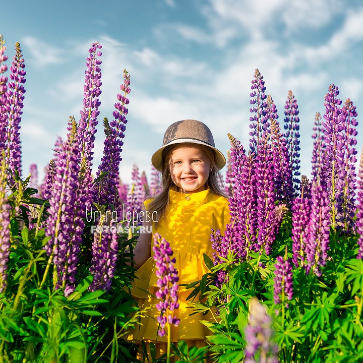 Детская фотосессия в люпинах в Кирове