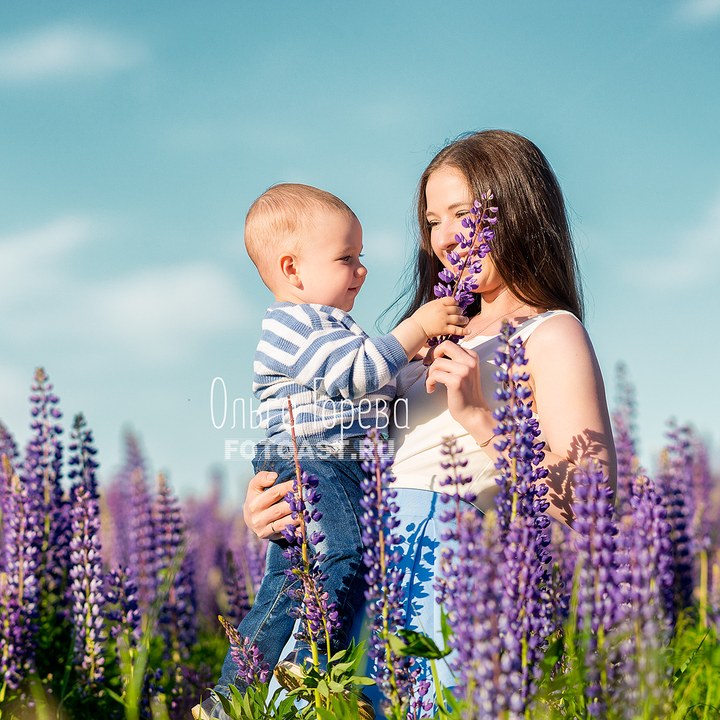 Семейная фотосессия в цветущих люпинах в Кирове