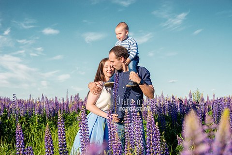 Семейная фотосессия в цветущих люпинах в Кирове