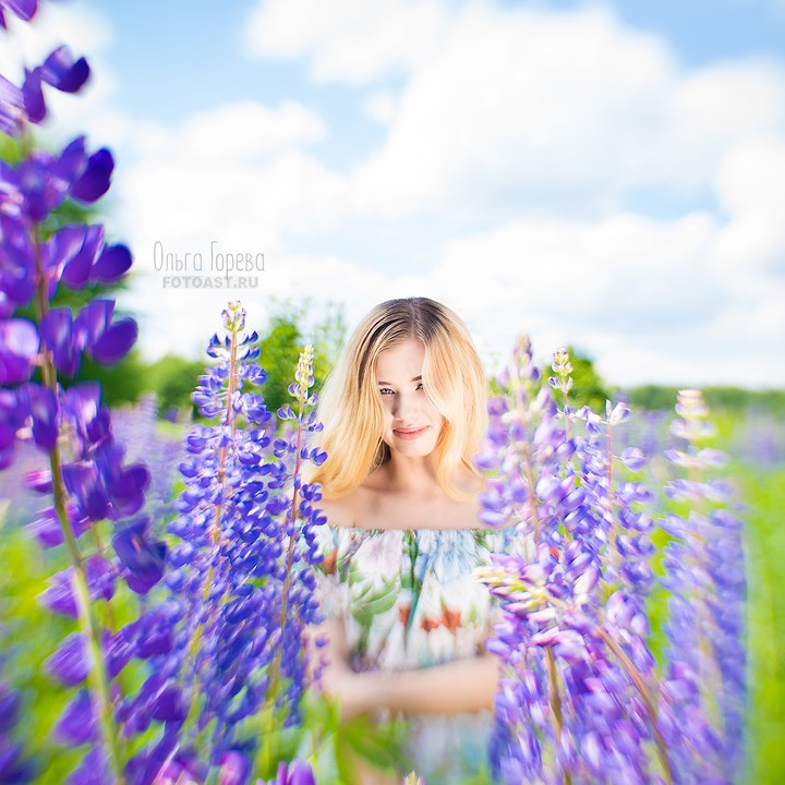 Фотосессия девушки летом в цветущих люпинах в Кирове