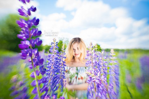 Фотосессия девушки летом в цветущих люпинах